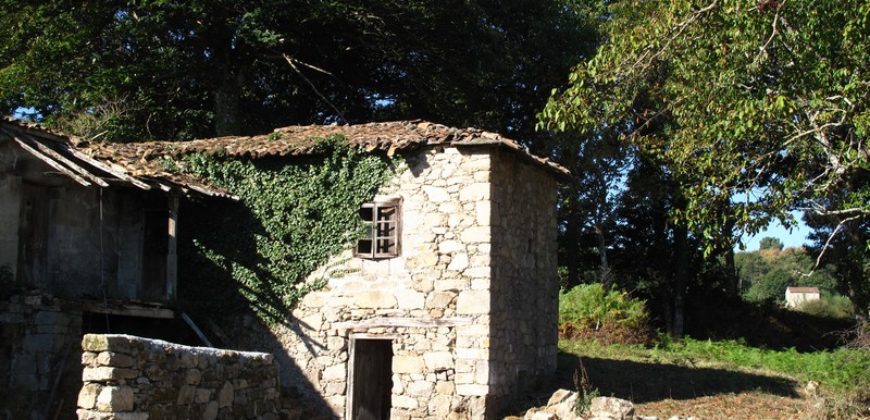 Pretty stone house to restore with land surrounded by forest