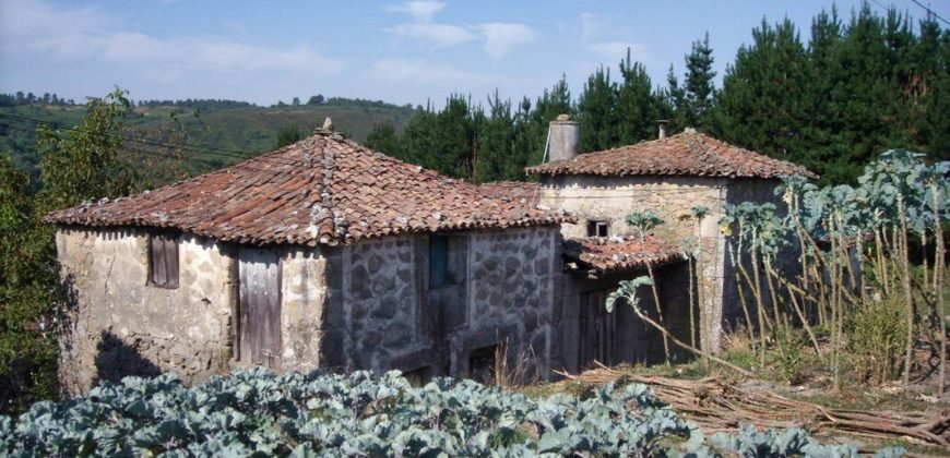Complex of two antique stone houses to renovate with land