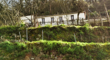 Casa de aldea con terraza, pequeña finca y bodega de piedra en la ribera del Miño