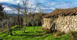 Rustic stone-built house to renovate with outbuildings and land