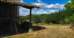 Natursteinhaus zum Restaurieren mit schönem Grundstück, 3 km von der Sil-Schlucht entfernt