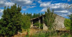 Natursteinhaus zum Restaurieren mit schönem Grundstück, 3 km von der Sil-Schlucht entfernt
