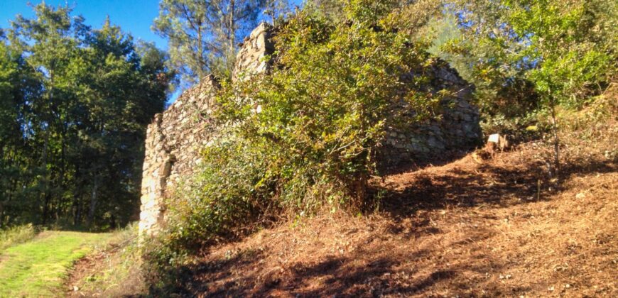 Remote Ribeira Sacra property with charming buildings and lovely plot