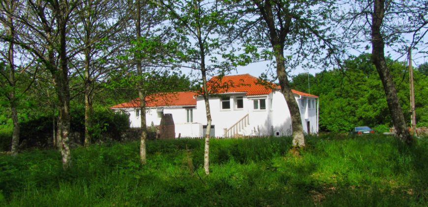 Two attached renovated houses with garden on a secluded location