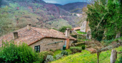 Casa de turismo rural en inmejorable situación en la Ribeira Sacra
