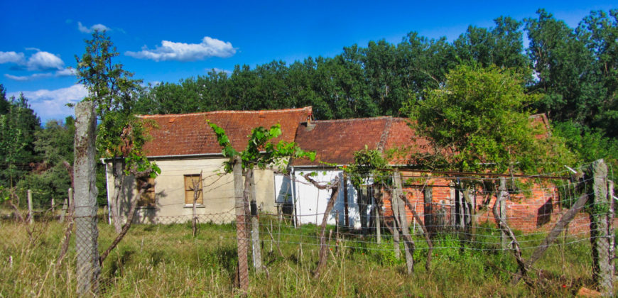 Zu renovierendes Haus mit Grundstück und Wassermühle in ruhiger Lage