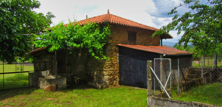 Two stone-built country houses with land in the Ribeira Sacra region