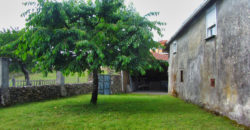 Dos casas rusticas de piedra con finca a pocos kilómetros de Monforte de Lemos