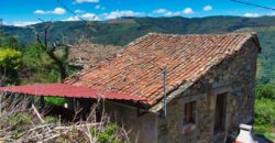 Steinhaus zu renovieren mit Weinbergen am Miño-Fluss