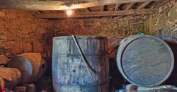 Casa de piedra a rehabilitar con viñedos en la ribera del río Miño