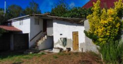 Charming Country House with outbuildings and land in Panton