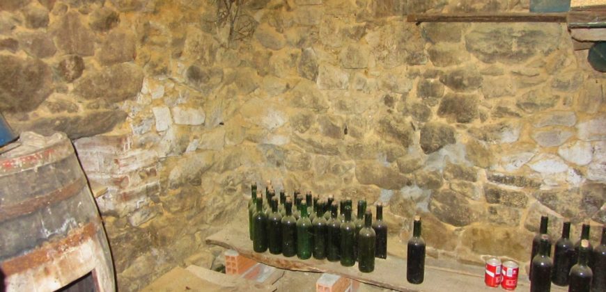 Casa rústica de piedra con anexos y bonita finca en la Ribeira Sacra