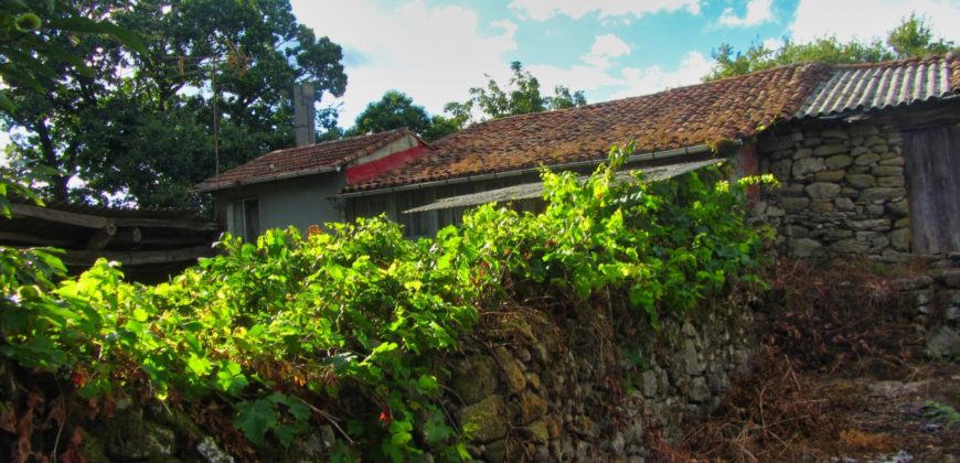 Renoviertes Natursteinhaus mit Garten