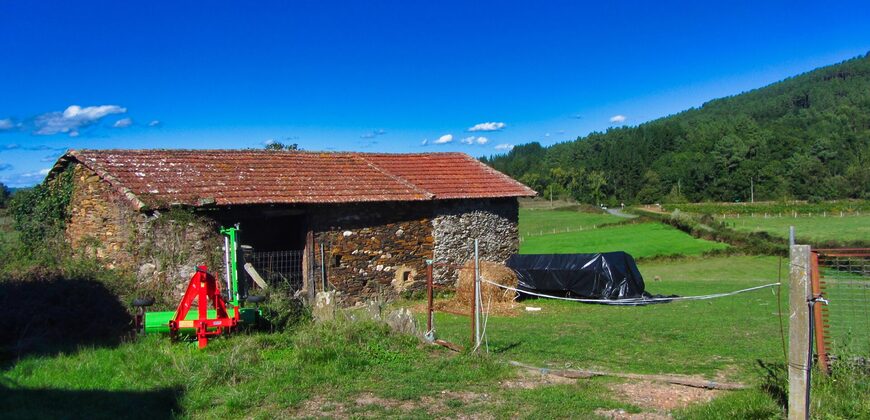 Beautiful plot of land with a shed in the Ribeira Sacra.