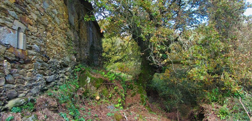 Complex of stone houses to renovate with 5 hectares of land in Taboada