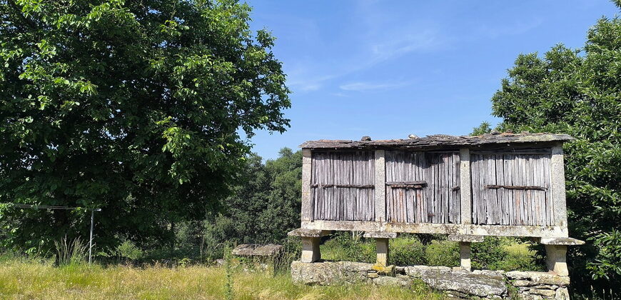 Uit natuursteen opgetrokken boerenwoning met patio en een ruim stuk grond