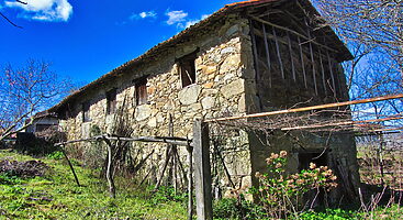 Beautiful traditional stone wine cellar with garden