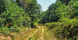 Off-Grid property with 1.5Ha land at 5 km from the Sil canyon