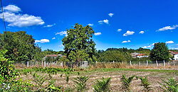 Gran casa rural de piedra con fincas, muy bien situada Gran casa rural de piedra con fincas, muy bien situada