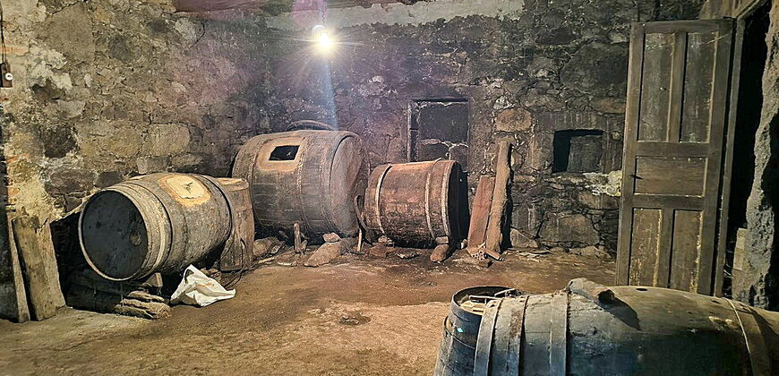 Gran casa rural de piedra con fincas, muy bien situada