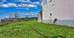 Casa rural tranquila con 8.000 m² de terreno a solo 3 km de Monforte de Lemos Casa rural tranquila con 8.000 m² de terreno a solo 3 km de Monforte de Lemos