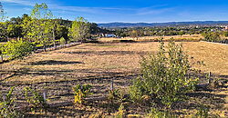 Casa rural tranquila con 8.000 m² de terreno a solo 3 km de Monforte de Lemos Casa rural tranquila con 8.000 m² de terreno a solo 3 km de Monforte de Lemos