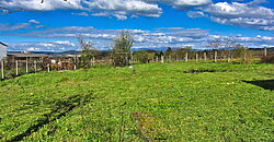 Casa rural tranquila con 8.000 m² de terreno a solo 3 km de Monforte de Lemos Casa rural tranquila con 8.000 m² de terreno a solo 3 km de Monforte de Lemos