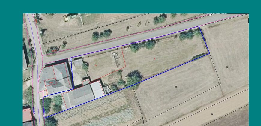 Landelijk gelegen boerenwoning met bijgebouwen en grond