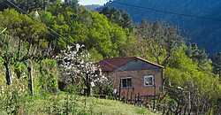 Casita rural con jardín ubicada en el cañón del río Sil