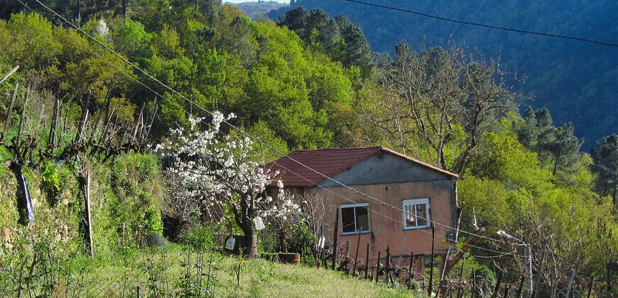 Casita rural con jardín ubicada en el cañón del río Sil
