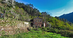 Casita rural con jardín ubicada en el cañón del río Sil