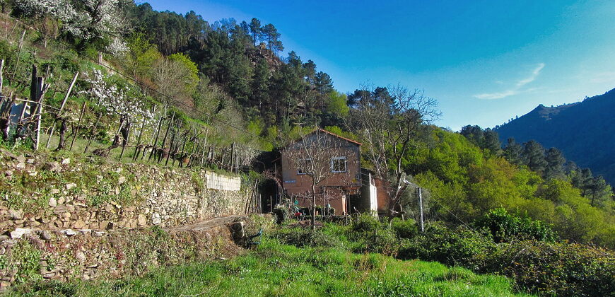Casita rural con jardín ubicada en el cañón del río Sil
