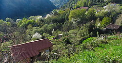 Casita rural con jardín ubicada en el cañón del río Sil