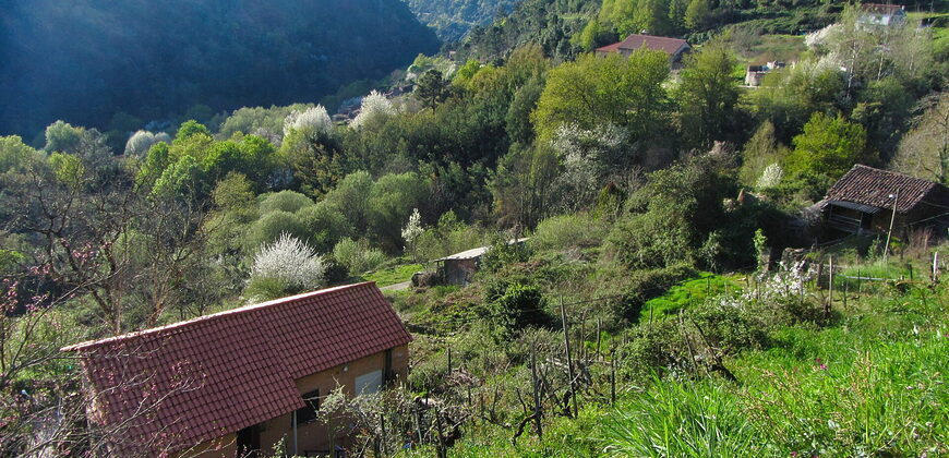 Casita rural con jardín ubicada en el cañón del río Sil