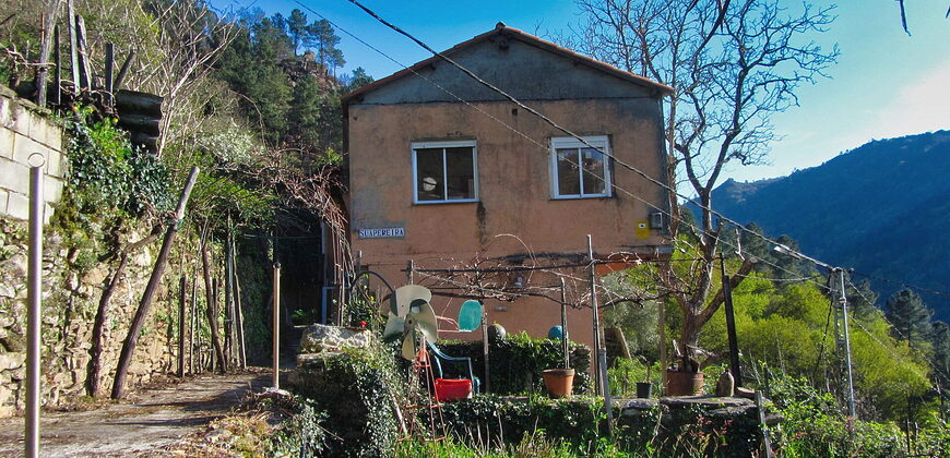 Casita rural con jardín ubicada en el cañón del río Sil