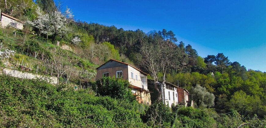 Casita rural con jardín ubicada en el cañón del río Sil
