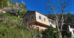 Casita rural con jardín ubicada en el cañón del río Sil