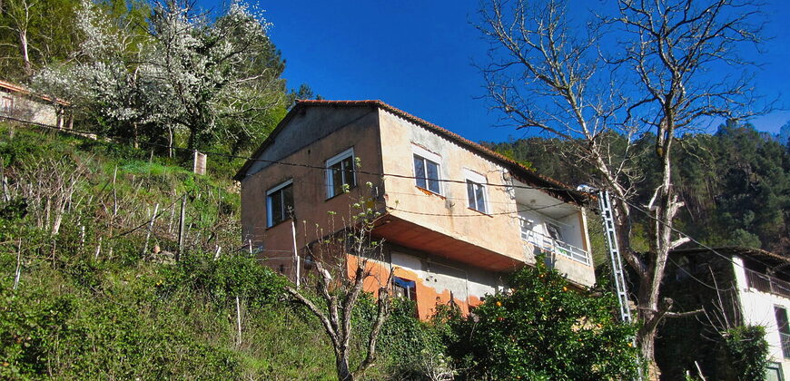 Casita rural con jardín ubicada en el cañón del río Sil