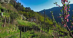 Casita rural con jardín ubicada en el cañón del río Sil