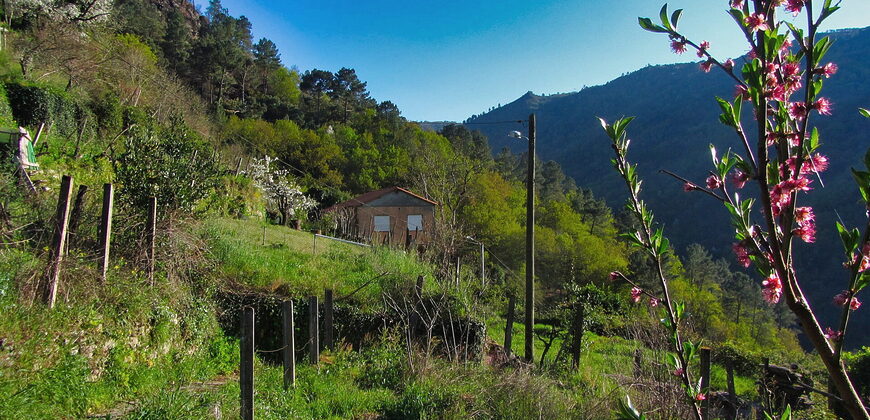 Casita rural con jardín ubicada en el cañón del río Sil