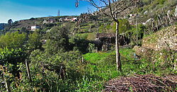 Casita rural con jardín ubicada en el cañón del río Sil