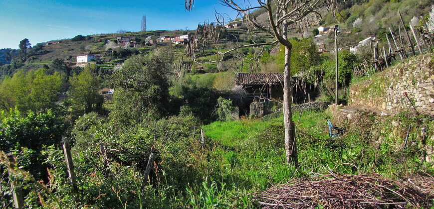 Casita rural con jardín ubicada en el cañón del río Sil