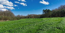 Beautiful stone-built Country House with 9 hectares of land in Antas de Ulla Beautiful stone-built Country House with 9 hectares of land in Antas de Ulla