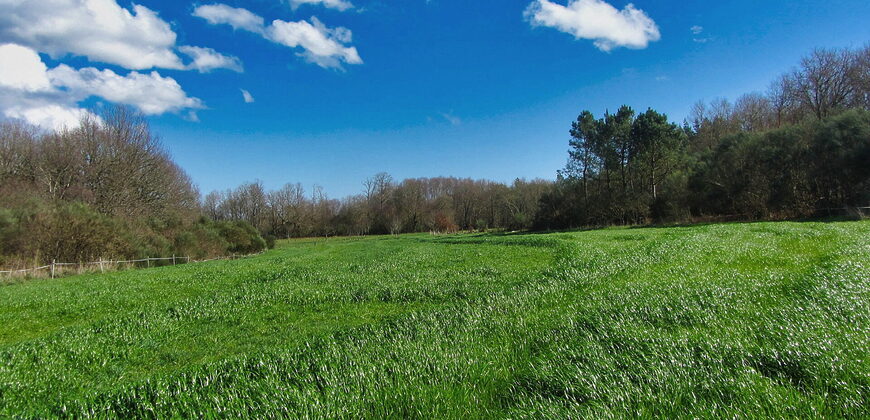 Beautiful stone-built Country House with 9 hectares of land in Antas de Ulla