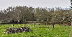 Casa granja con anexos y múltiples parcelas en Ferreira de Panton Casa granja con anexos y múltiples parcelas en Ferreira de Panton