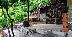Vineyard with bodega on a stunning location on the banks of the Miño