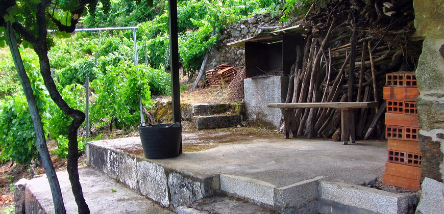 Vineyard with bodega on a stunning location on the banks of the Miño