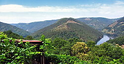 Vineyard with wine cellar and spectacular views overlooking the Miño
