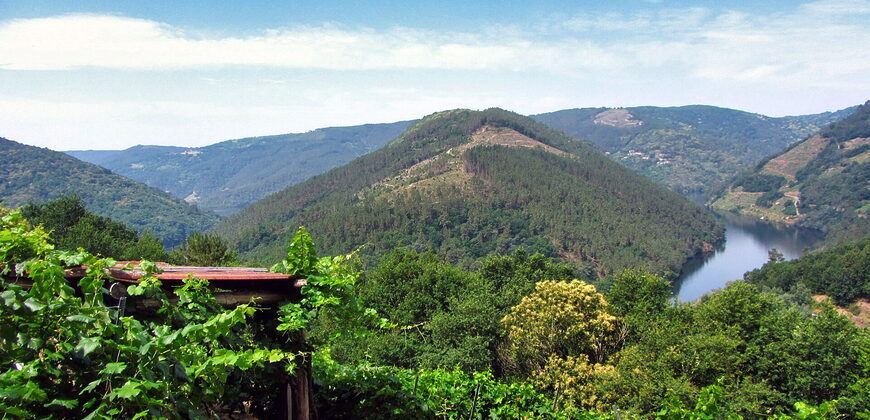 Vineyard with wine cellar and spectacular views overlooking the Miño