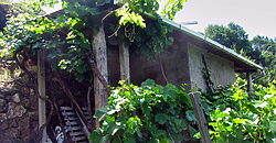 Vineyard with wine cellar and spectacular views overlooking the Miño